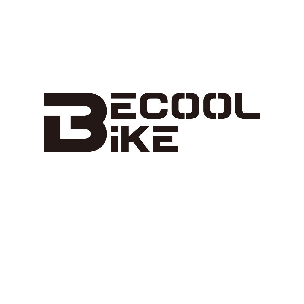 BECOOL BIKE