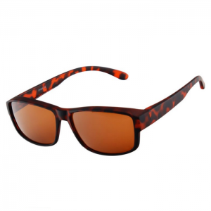 Bicycle sport glasses DY-043